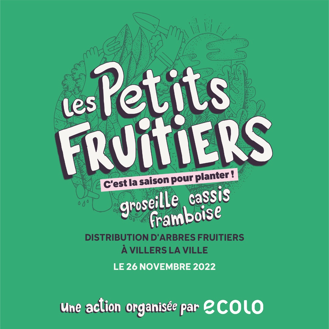 Distribution fruitiers