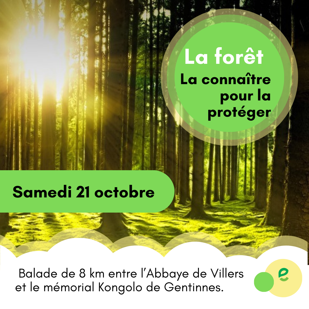 Balade de 8 km entre l’Abbaye de Villers et le mémorial Kongolo de Gentinnes.